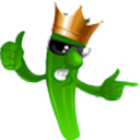 Desert King Windows logo